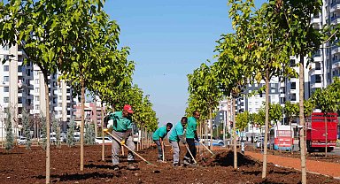 Diyarbakır'da yeşil bir kent için 9 bin ağaç ve 50 bin çalı toprakla buluştu