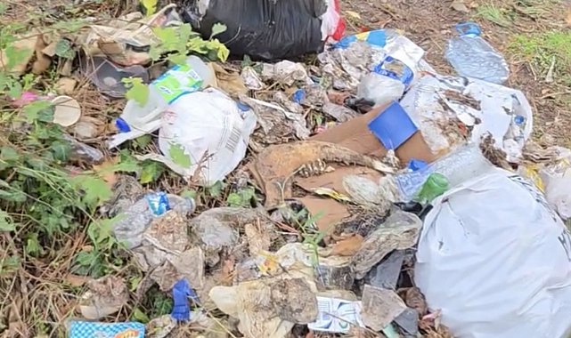 Doğasever vatandaştan çöp tepkisi: "Memleketin enayisi mi biter, nasıl olsa toplayan çıkar?"