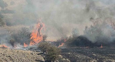 Domaniç'te yangını kepçeler ve traktörler durdurdu