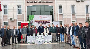 Düzce'de 14 bin samuray arısı doğaya salındı