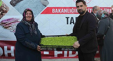 Düzce'de çiftçilere 2,6 milyon TL'lik fide ve tohum desteği