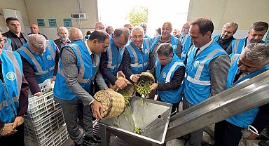 Edremit'te Akademik Zeytin Hasat Şenliği düzenlendi