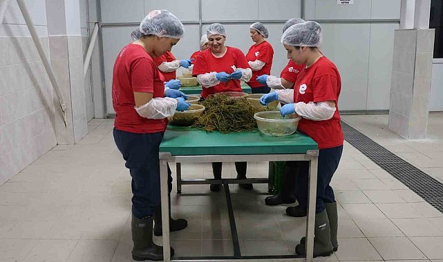 Efeler'in yöresel ürün çeşitliliği 63'e yükseldi