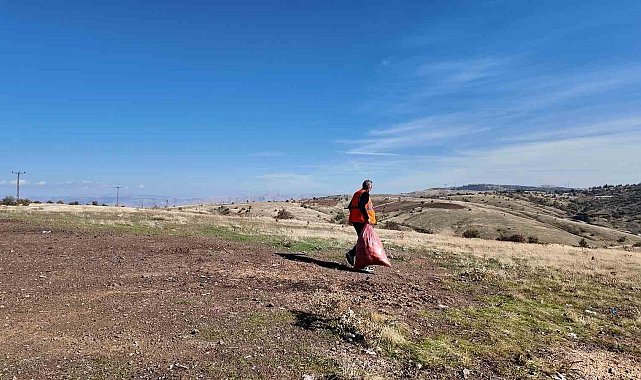 Elazığ Belediyesi'nden sokak hayvanlarına mama ve su desteği
