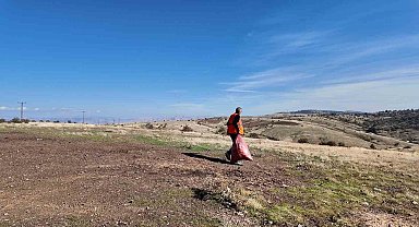 Elazığ Belediyesi'nden sokak hayvanlarına mama ve su desteği