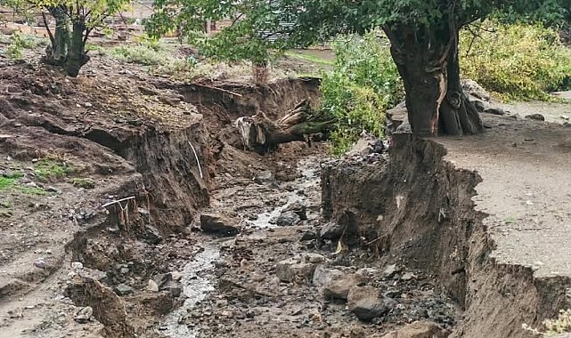 Elazığ'da aşırı yağış sonrası ağaçlar devrildi, derin çukurlar oluştu