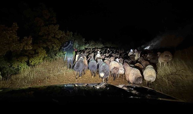 Elazığ'da dağlık alanda mahsur kalan çoban ve 200 küçükbaş hayvan kurtarıldı