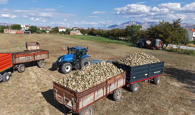Elazığ'ın bereketli topraklarında şeker pancarı hasadı başladı