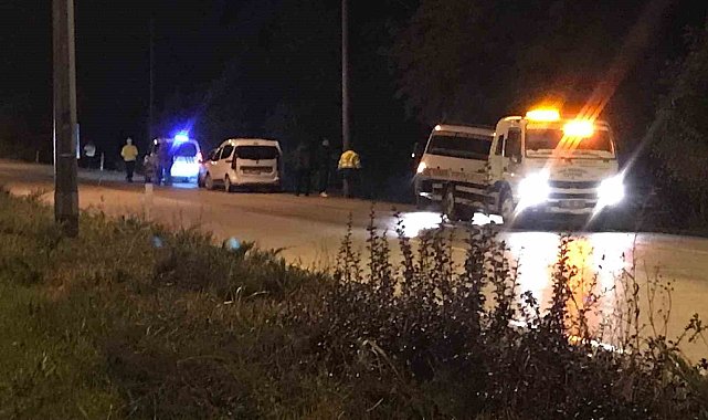 Ereğli'de otomobil şarampole düştü: 1 yaralı