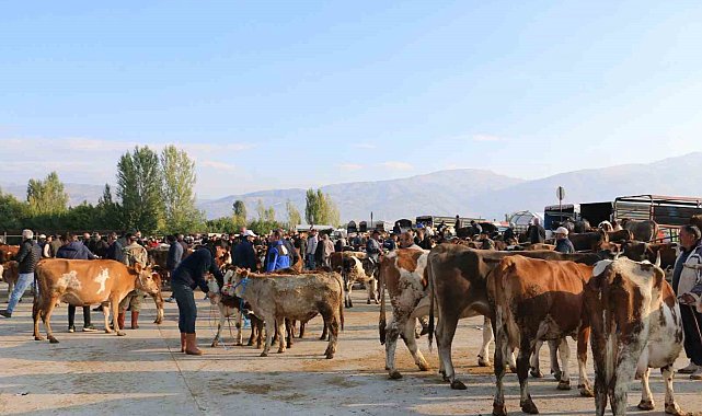 Erzincan'da hayvan yetiştiricilerine şap hastalığına karşı aşılama uyarısı