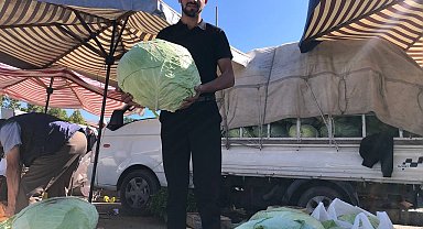 Erzincan'da turşuluk ve yemeklik lahanalar tezgahta yerini aldı