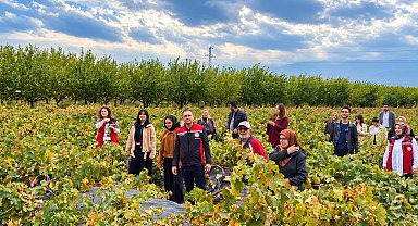 Erzincan'da üniversite öğrencileri bağ bozumu yapan çiftçiye destek oldu
