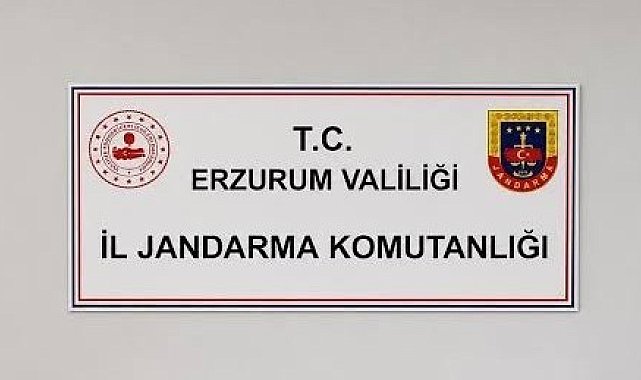 Erzurum'da siber suçlardan 25 şahıs hakkında adli işlem başlatıldı