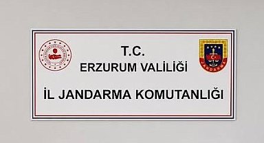 Erzurum'da siber suçlardan 25 şahıs hakkında adli işlem başlatıldı