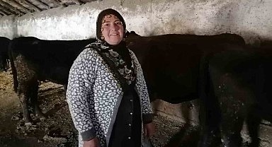 Erzurum'un Hınıs ilçesinde "kırsalda bereket" projesi ile ilk buzağılar doğdu