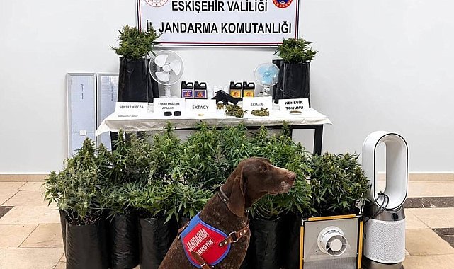 Eskişehir'de 21 poşet kenevir ve çok sayıda uyuşturucu madde jandarma tarafından ele geçirildi