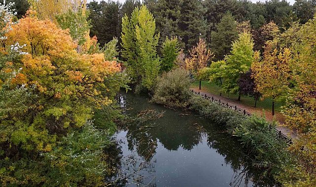 Eskişehir'de sonbahar manzarası mest etti