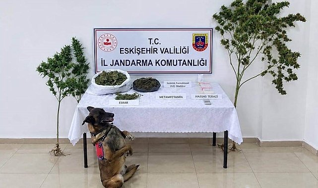 Eskişehir'de uyuşturucu operasyonu: 1 tutuklama