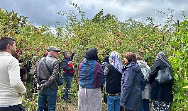 Eskişehirli kadın çiftçiler Kütahya'da üretim alanlarını inceledi