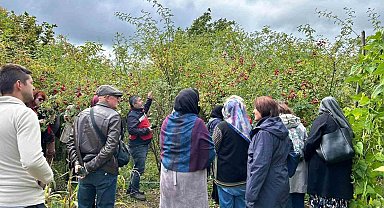 Eskişehirli kadın çiftçiler Kütahya'da üretim alanlarını inceledi