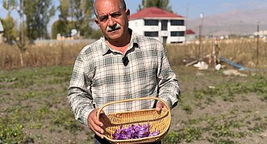 Esnaflığı bıraktı, tarlada serveti buldu: Kilosu 1 milyon lirayı bulan "kırmızı altın" hayatını değiştirdi