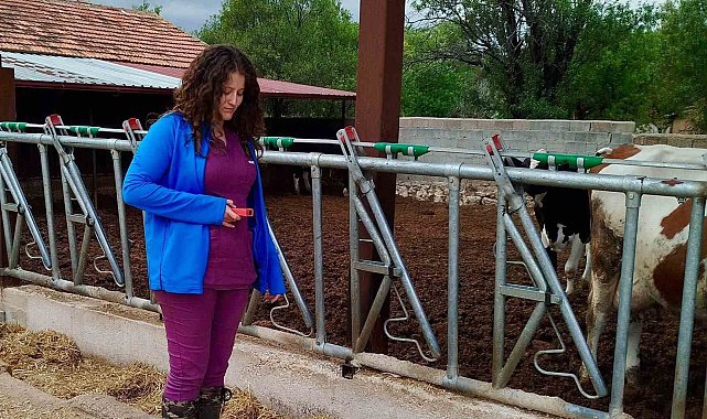 Evciler'de işletmelerin kapasite ve üretim şartları incelendi