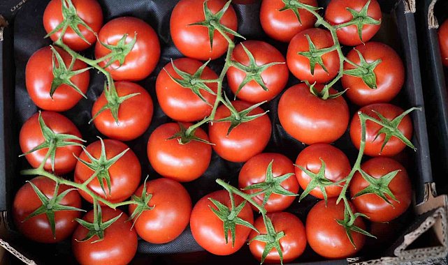 Eylül ayında domatesin yıllık bazda miktar ve fiyat endeksi arttı
