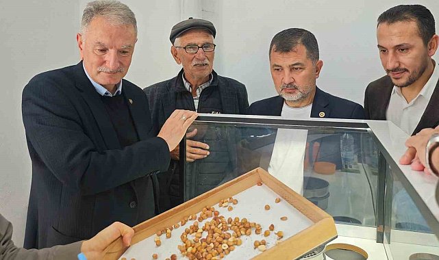 Fındık alım çalışmaları yerinde incelendi