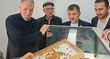 Fındık alım çalışmaları yerinde incelendi