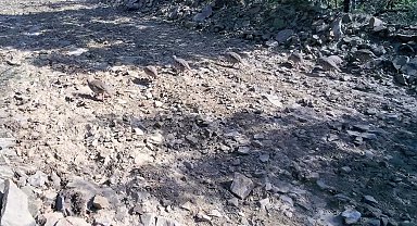 Ganos Dağları'nda keklik sürüsü fotokapanlara yansıdı