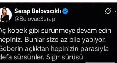 Gazeteci Serap Belovacıklı hakkında soruşturma başlatıldı
