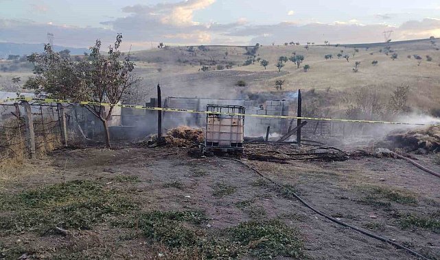 Gediz'de samanlık yangınında 1 kişi hayatını kaybetti