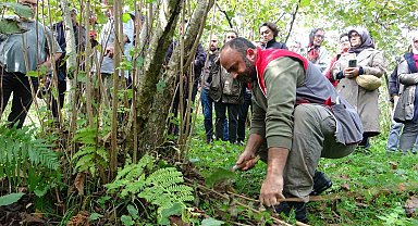 Giresun'da fındıkta verimi artırmak için üreticilere uygulamalı budama eğitimi veriliyor