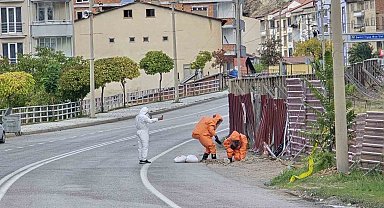 Gümüşhane'de kanalizasyondan çıkan gaz paniğe neden oldu