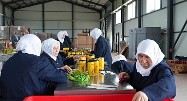 Gürsu Ovası'na kadın eli değdi