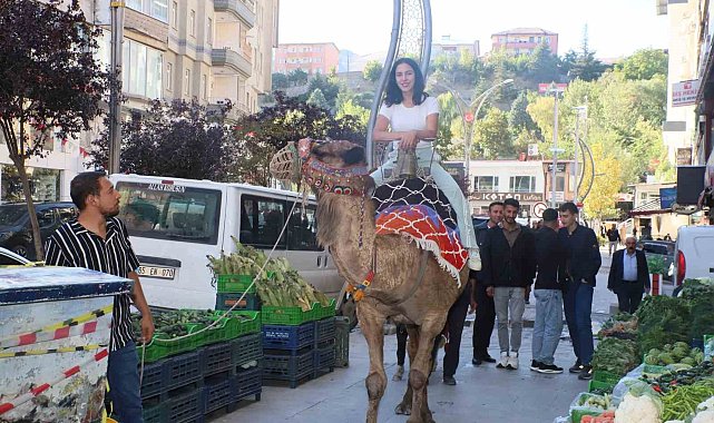Hakkari'de deve ve midilli atları ilgi odağı oldu