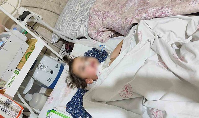 Hakkari'de yatağa bağımlı hasta helikopter ambulansla Van'a sevk edildi