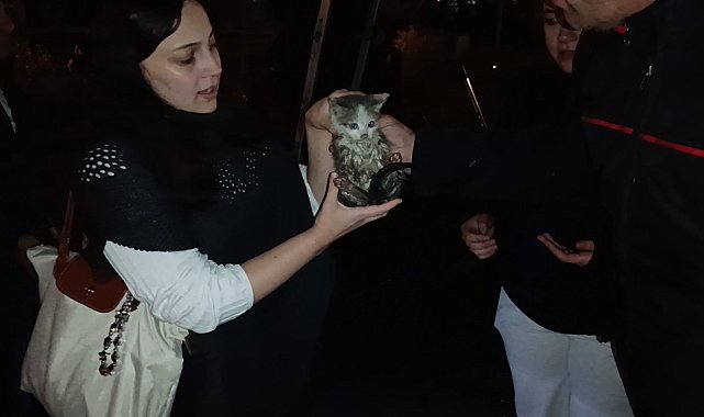 Harşit Çayı kenarında mahsur kalan yavru kediyi itfaiye ekipleri kurtardı