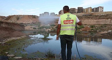 Hatay'da haşere ve vektör mücadelesi sürüyor