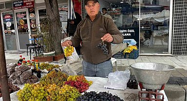 Haydar üzümleri tezgahlarda yerini aldı