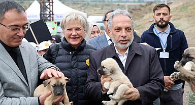 Hayvanları Koruma Günü, Talas Pati Evi Doğal Yaşam Alanı'nda kutlandı
