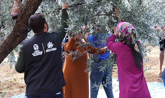 HBB'den zeytin üreticilerine mesleki eğitim desteği