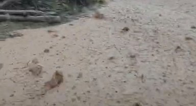 Hekimhan'da sağanak yağış sele neden oldu