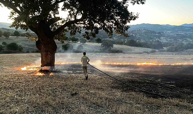 Hisarcık'ta anız yangını: 1 hektar alan zarar gördü