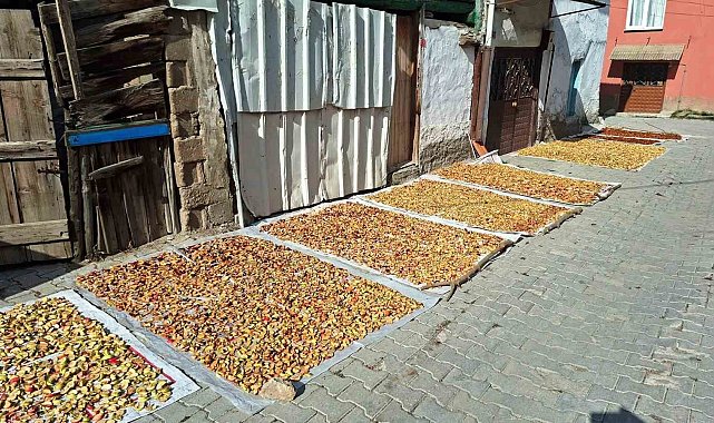 Hisarcık'ta elma kurusu fiyatı düştü, üretici yükseliş bekliyor