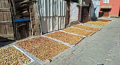 Hisarcık'ta elma kurusu fiyatı düştü, üretici yükseliş bekliyor