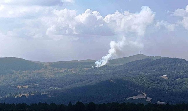 Hisarcık'ta ormana sıçrayan yangında 6 dekar alan zarar gördü