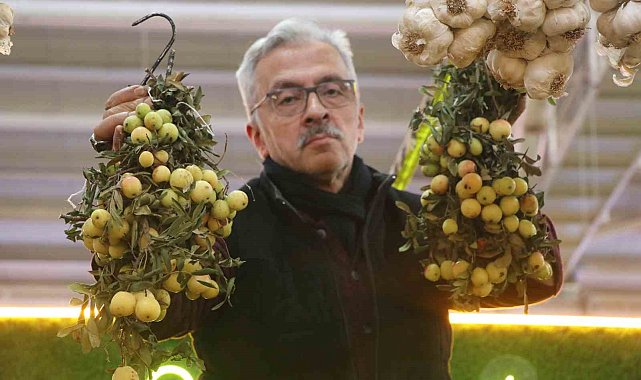 İki yılda bir yetişiyor, bu meyve sipariş üzerine satılıyor