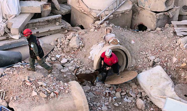 İnegöl'de K9'lara hayat kurtaran eğitim