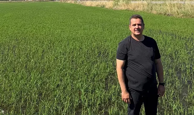 İpsala Çeltik Üreticileri Birliği'nden tepki